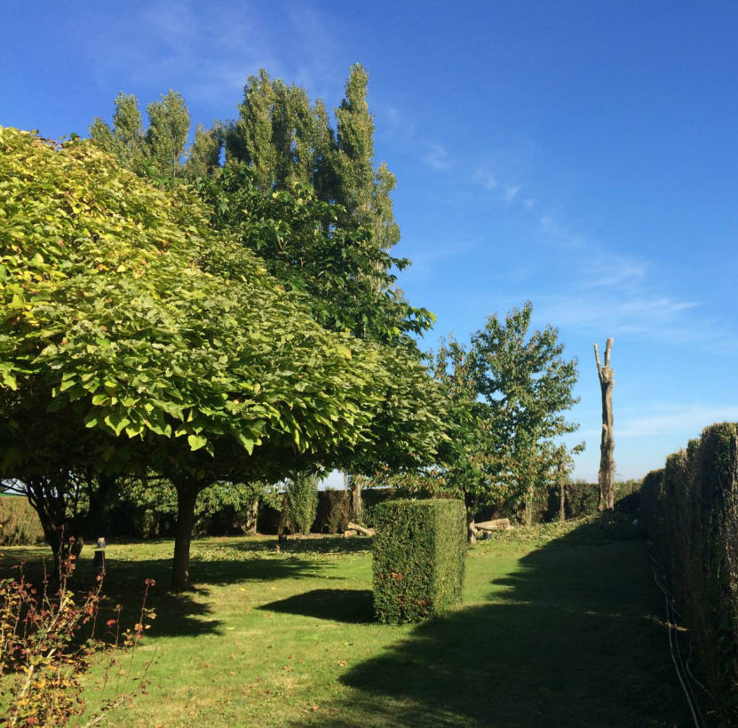 Scandere Elagage Saumur SCANDERE H1